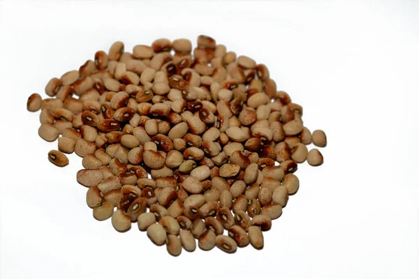 완두콩의 크기의 수있는 콩으로 세계적으로 재배되는 아프리카 재배되는 식물인 페아의 — 스톡 사진