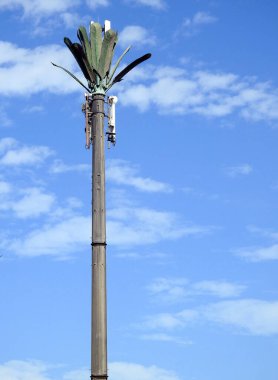 Mısır 'daki cep telefonu kulesi veya cep telefonu anteni cep telefonlarıyla iletişim kurmak ve radyo dalgalarını iletmek için otoyollar ve yan yollar boyunca uygun aralıklarla yerleştirilmiş sahte palmiye ağacına gizlenmiş.