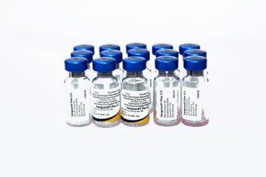 Kahire, Mısır, 8 Aralık 2022: Öncü Kıta artı köpek distemper virüsü, adenovirüs, parainfluenza, coronavirus, parvovirüs, Leptospira canicola ve L. icterohaemorrhagiae karşı köpekler için 5 CV-L aşısı