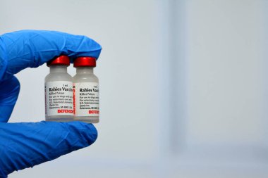 Kahire, Mısır, 8 Aralık 2022: Habis aşısı kedi ve köpek kullanımı için virüsü öldürdü savunucu 3 Zoetis USA, hücre kültüründen, kimyasal olarak etkin olmayan kuduz virüsünden, seçici odaklı