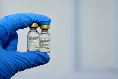 Kahire, Mısır, 8 Aralık 2022: Felocell 4, modifiye edilmiş canlı gergedan aşısı, gergedan virüsü, kalivirüs, panleukopenia virüsü (Johnson Kar Leoparı türü) ve klamidya psittaci