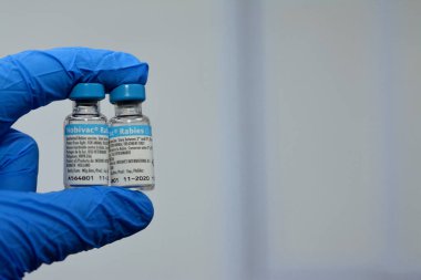 Kahire, Mısır, 8 Aralık 2022: Nobivac Kuduz dengeli, kuduz aşısı uygulandı ve hayvan derialtı veya kas içi, MSD Holland için tam koruma sağlandı.