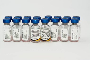 Kahire, Mısır, 17 Aralık 2022: Öncü Kıta artı köpek distemper virüsü, adenovirüs, parainfluenza, coronavirus, parvovirüs, Leptospira canicola ve L. icteroemorrhagiae karşı köpekler için 5 CV-L aşısı