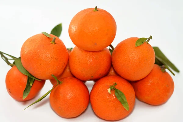 The mandarin orange (Citrus reticulata), also known as the mandarin or mandarine, a small citrus tree fruit. Treated as a distinct species of orange, Tangerine Citrus tangerina fruit