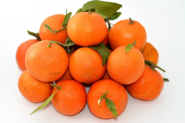 The mandarin orange (Citrus reticulata), also known as the mandarin or mandarine, a small citrus tree fruit. Treated as a distinct species of orange, Tangerine Citrus tangerina fruit