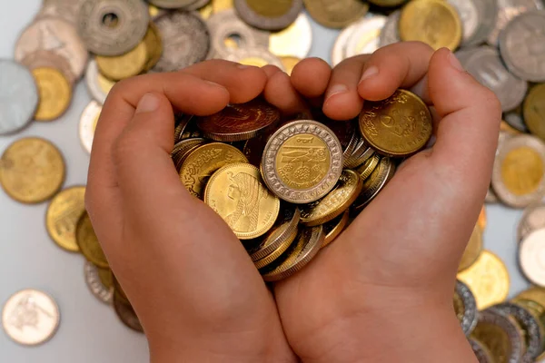 A pile of coins in the hand of a child, stack of Egyptian money coins held by a young child, the concept of economy future, collecting money for charity, and saving money