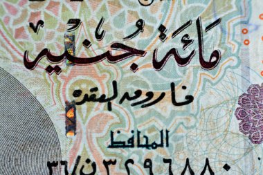 Close up of One hundred Egyptian pounds 100 EGP LE 2004 features Sultan Hassan mosque on obverse side and Sphinx of Giza Egypt on the reverse, selective focus of old Egyptian banknote money bill