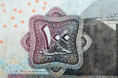 Close up of One hundred Egyptian pounds 100 EGP LE 2004 features Sultan Hassan mosque on obverse side and Sphinx of Giza Egypt on the reverse, selective focus of old Egyptian banknote money bill