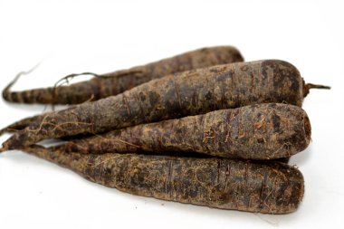 Black carrots, The carrot (Daucus carota subsp. sativus) is a root vegetable, typically orange in color, a biennial plant in the umbellifer family, Apiaceae. At first, it grows a rosette