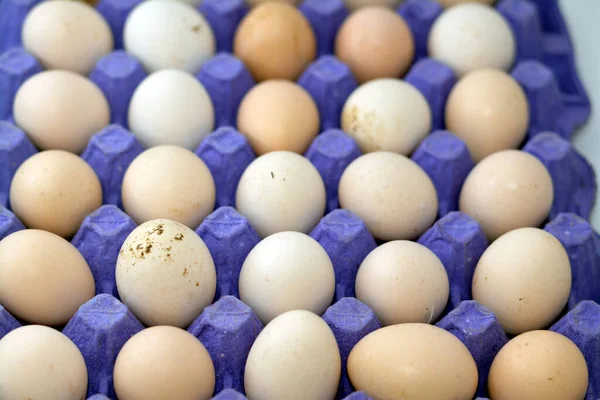 Pile of organic fresh and raw hen chicken eggs, stack of eggs isolated and ready to be cooked in various cuisines, selective focus of eggs which consists of egg yolk and white part albumen