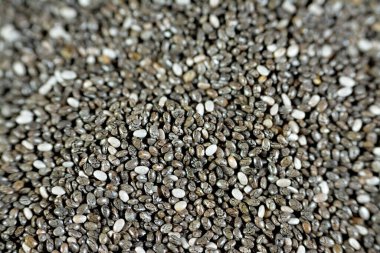 Dried chia seeds with a high content of dietary fiber, vitamins, minerals, protein, fat and carbohydrates, rich in B vitamins, thiamin and niacin, it's edible seeds of Salvia hispanica of mint family