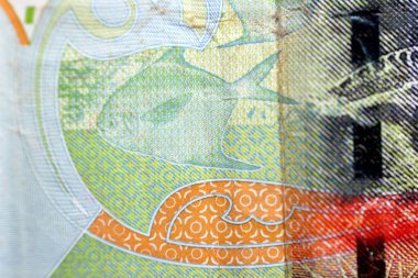 Gümüş Pomfret balığı (Al Zubadi), Kuveyt 'in ters tarafından yakın plan, yarım dinar yeşil kağıt banknot nakit para banknotu, 2014 basımı, Hawksbill deniz kaplumbağası, seçici odaklı