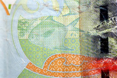 Gümüş Pomfret balığı (Al Zubadi), Kuveyt 'in ters tarafından yakın plan, yarım dinar yeşil kağıt banknot nakit para banknotu, 2014 basımı, Hawksbill deniz kaplumbağası, seçici odaklı