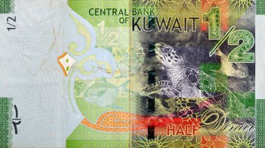 Kuveyt 'in ters tarafının büyük bir kısmı yarım dinar yeşil kağıt para banknotu nakit para banknotu Hawksbill deniz kaplumbağası ve gümüş Pomfret balığı (Al Zubadi), seçici odak noktası