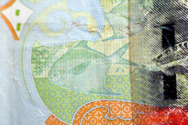 Gümüş Pomfret balığı (Al Zubadi), Kuveyt 'in ters tarafından yakın plan, yarım dinar yeşil kağıt banknot nakit para banknotu, 2014 basımı, Hawksbill deniz kaplumbağası, seçici odaklı