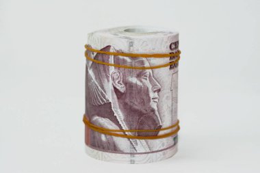 10 EGP LE 10 Mısır nakit para banknotları lastik bantlar ile sarılmış kraliyet camii ve khafre imajı ile taht, Mısır para demeti rulo, seçici odaklı