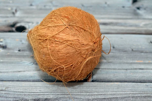 Καρύδι Καρύδας Cocos Nucifera Της Οικογένειας Φοινίκων Arecaceae Γένος Cocos — Φωτογραφία Αρχείου