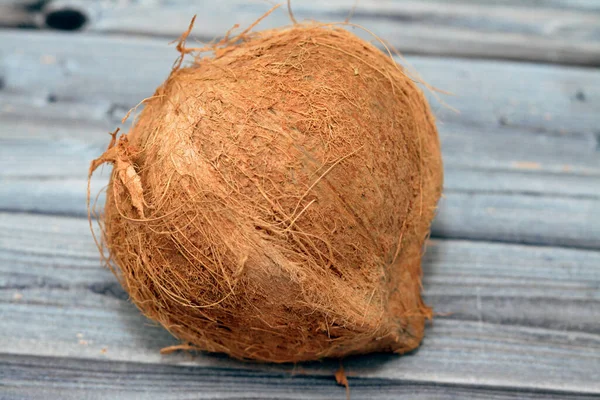Kokosfrucht Kokosnuss Cocos Nucifera Aus Der Familie Der Palmengewächse Arecaceae — Stockfoto