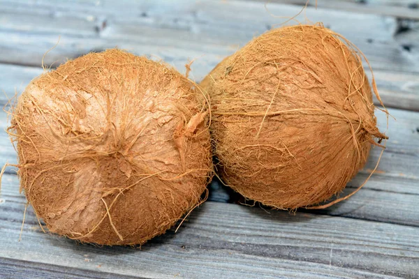 Kokosfrucht Kokosnuss Cocos Nucifera Aus Der Familie Der Palmengewächse Arecaceae — Stockfoto