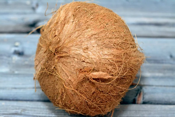 Kokosové Ovoce Kokosové Ořechy Kokosové Jádro Čeledi Palem Arecaceae Rodu — Stock fotografie