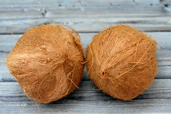 Καρύδι Καρύδας Cocos Nucifera Της Οικογένειας Φοινίκων Arecaceae Γένος Cocos — Φωτογραφία Αρχείου