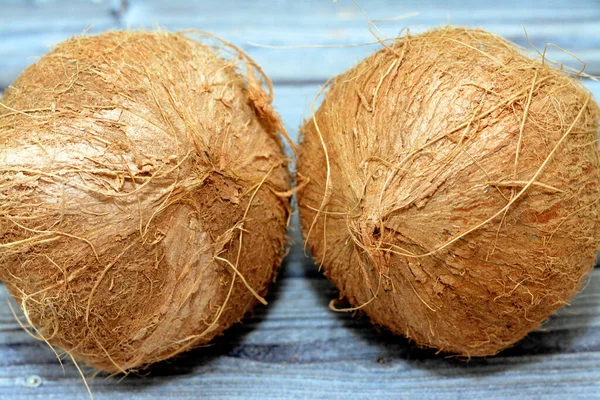 Coconut Fruit Cocoanut Cocos Nucifera Palm Tree Family Arecaceae Genus — Stock Photo, Image