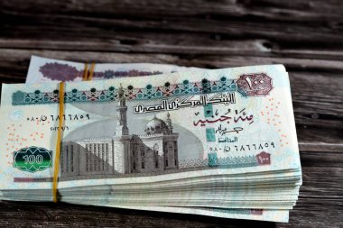 Mısır para desteleri 100 ve 50 EGP LE 100 ve 50 Pound banknot ahşap üzerinde izole Sultan Hassan ve Abu Hurayba camileri, sfenks, Edfu tapınağı ve kanatlı bok böceği