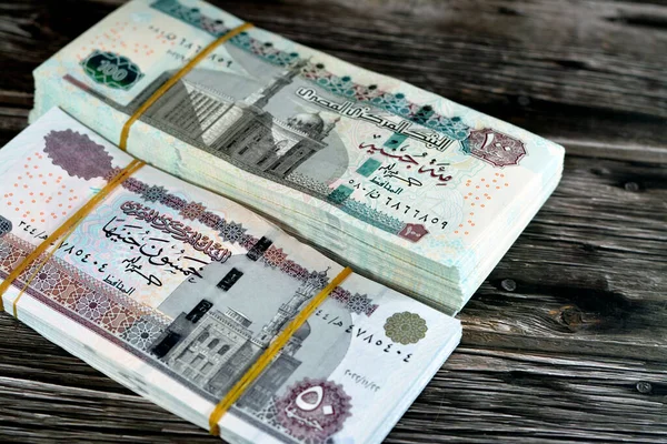 이집트의 100 Egp 100 이집트와 파운드 지폐가 나무에는 모스크 스핑크스 — 스톡 사진