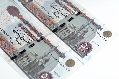50 EGP LE 50 Mısır nakit para banknotları Ebu Hurayba Camii görüntüsü ters tarafta ve Edfu tapınağı ve kanatlı bok ters tarafta, Mısır para seçici odak noktası