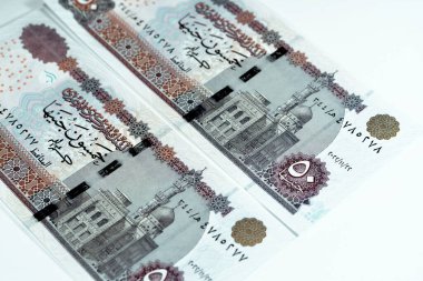 50 EGP LE 50 Mısır nakit para banknotları Ebu Hurayba Camii görüntüsü ters tarafta ve Edfu tapınağı ve kanatlı bok ters tarafta, Mısır para seçici odak noktası