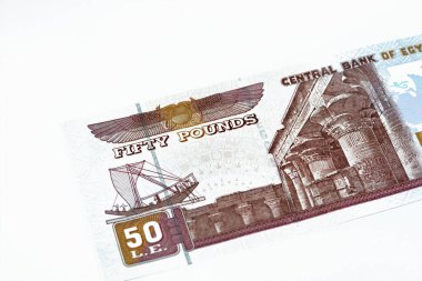 50 EGP LE 50 Mısır nakit para banknotları Ebu Hurayba Camii görüntüsü ters tarafta ve Edfu tapınağı ve kanatlı bok ters tarafta, Mısır para seçici odak noktası