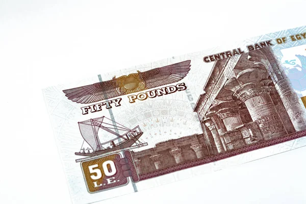 stock image 50 EGP LE fifty Egyptian pounds cash money bills with a image of Abu Hurayba Mosque on obverse side and temple of Edfu and winged scarab on the reverse side, selective focus of Egypt money