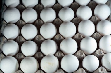 Pile of organic fresh and raw hen chicken eggs, stack of eggs isolated and ready to be cooked in various cuisines, selective focus of eggs which consists of egg yolk and white part albumen