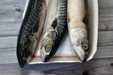 Uskumru balığı, çiğ çiğ balık, farklı pelajik balık türleri, çoğunlukla Scombridae familyasından, uskumru türleri genellikle derin çatallı kuyruklara ve dikey kaplan benzeri çizgilere sahiptir.