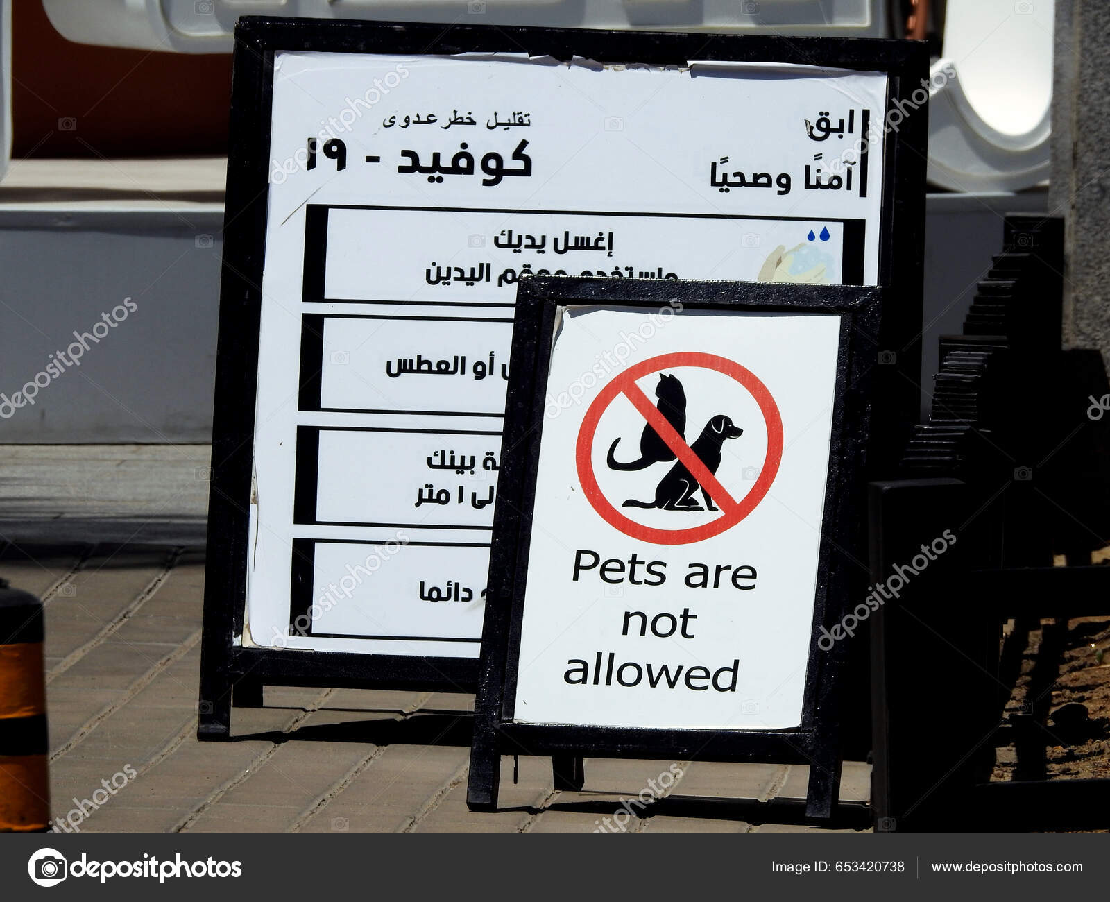 Cairo Egypt April 2023 Pets Allowed Sign Address Property Policy