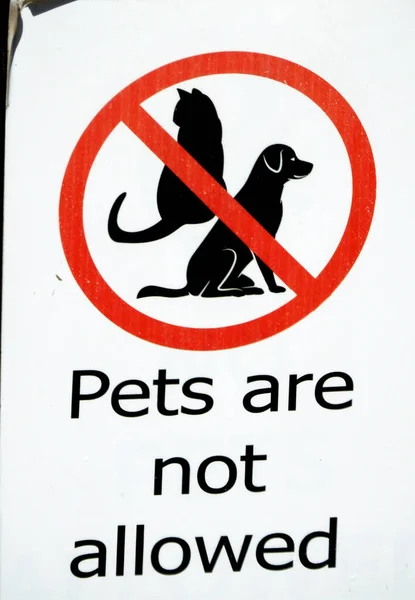 Evcil Hayvanlara Izin Verilmeyen Bir Tabela Emlak Politikası Güvenlik Kaygılarını — Stok fotoğraf