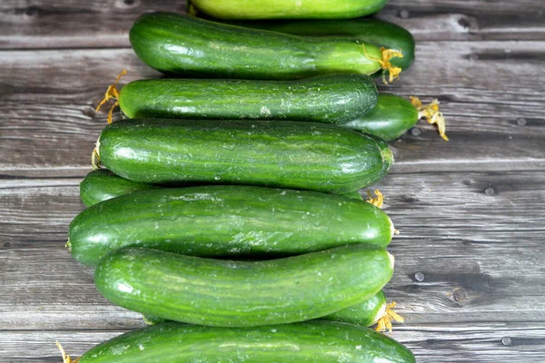 Haufen Frischer Grüner Gurken Gemüse Isoliert Auf Holzgrund Selektiver Fokus — Stockfoto