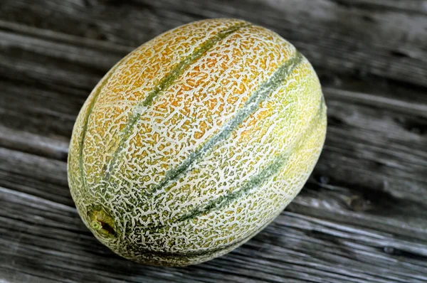 Muskmelon Cucumis Melo Melone Una Specie Cucumis Che Stata Sviluppata — Foto Stock