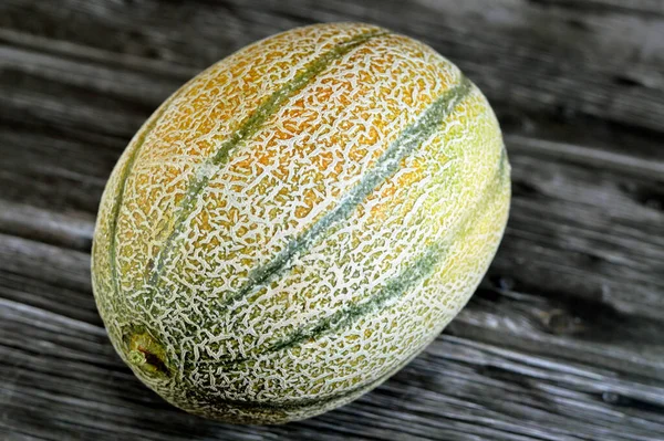Muskmelon Cucumis Melo Atau Melon Spesies Cucumis Yang Telah Dikembangkan — Stok Foto