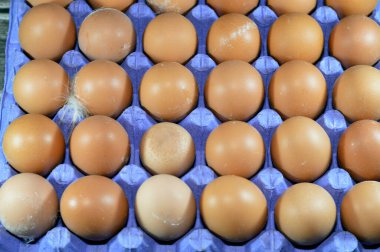 Pile of organic brown fresh and raw hen chicken eggs, stack of eggs isolated and ready to be cooked in various cuisines, selective focus of eggs which consists of egg yolk and white part albumen