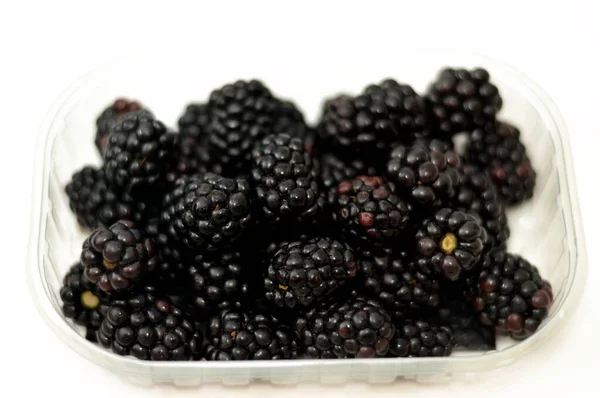 Blackberry Edible Fruit Many Species Genus Rubus Family Rosaceae Hybrids — Stock Photo, Image