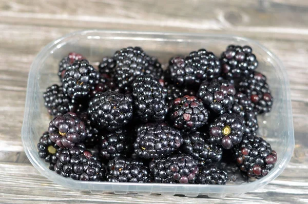 stock image Blackberry, edible fruit of many species in genus Rubus in the family Rosaceae, hybrids among species with subgenus Rubus, and hybrids between the subgenera Rubus and Idaeobatus, Pile of blackberries