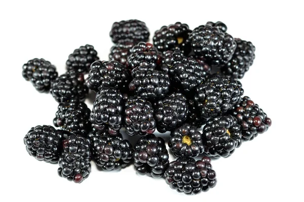黑莓是蔷薇科许多种类红莓属植物的可食果实 是红莓亚属植物的杂交种 也是红莓亚属和红莓亚属之间的杂交种 — 图库照片