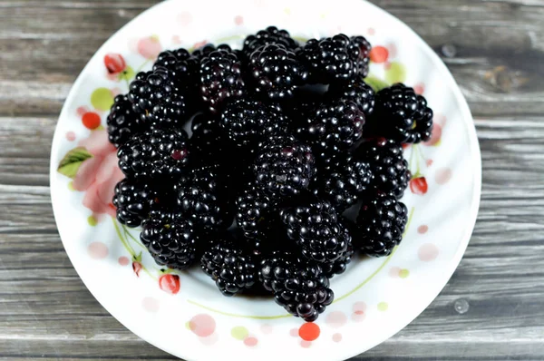 Blackberry Edible Fruit Many Species Genus Rubus Family Rosaceae Hybrids — Stock Photo, Image