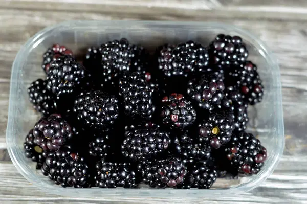 Blackberry Edible Fruit Many Species Genus Rubus Family Rosaceae Hybrids Royalty Free Stock Images