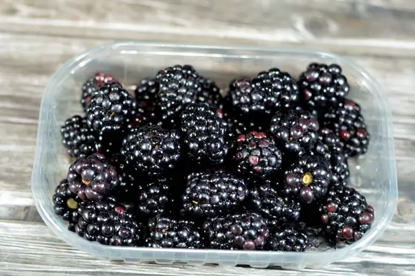 Blackberry Edible Fruit Many Species Genus Rubus Family Rosaceae Hybrids Stock Photo