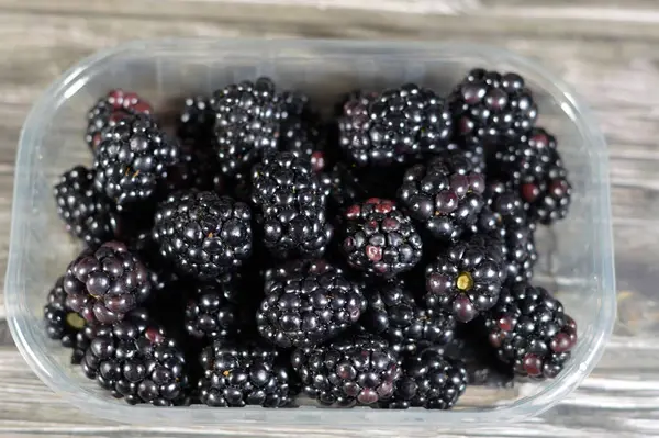 Blackberry Edible Fruit Many Species Genus Rubus Family Rosaceae Hybrids Royalty Free Stock Photos
