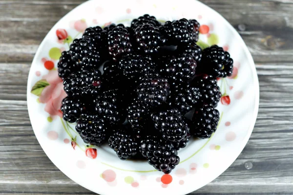 Blackberry Edible Fruit Many Species Genus Rubus Family Rosaceae Hybrids Stock Picture