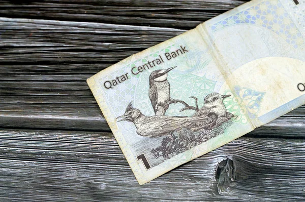 Katar Riyal nakit para birimi Katar banknotunun ters tarafı yerli kuşlar Crested Lark Galerida cristata, Avrasya Arı Yiyen Merops apiaster, Küçük Kum Sapığı Charadrius mongolus