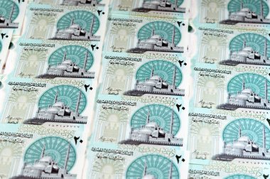 Yeni Mısır 20 EGP LE 20 polimer nakit para banknotu Mohamed Ali Camii, dokunsal ADA Braille noktalarıyla süslenmiş, Kraliçe Kleopatra, Büyük Piramit ve firavun askeri savaş arabası